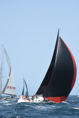 DSC_2490.JPG