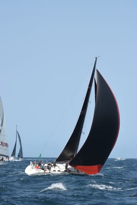 DSC_2493.JPG