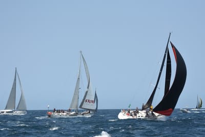 DSC_2495.JPG
