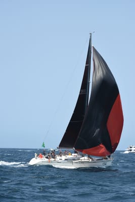 DSC_2498.JPG