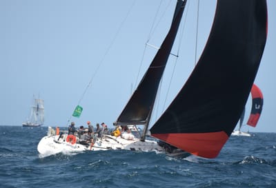 DSC_2507.JPG