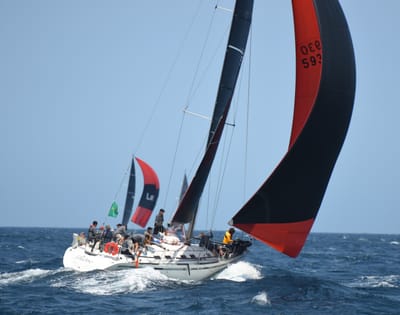 DSC_2510.JPG
