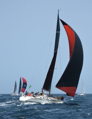 DSC_2512.JPG