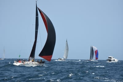 DSC_2513.JPG