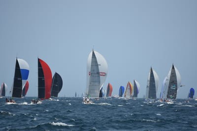 DSC_2514.JPG