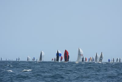 DSC_2515.JPG