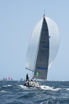 DSC_2528.JPG
