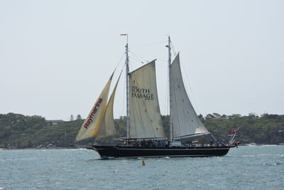 DSC_2529.JPG