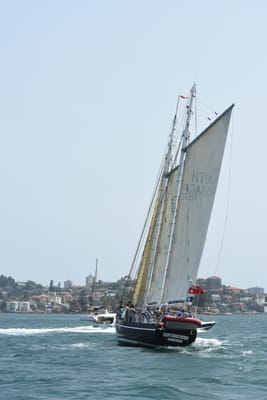 DSC_2530.JPG
