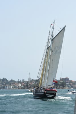 DSC_2531.JPG
