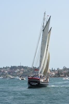 DSC_2532.JPG