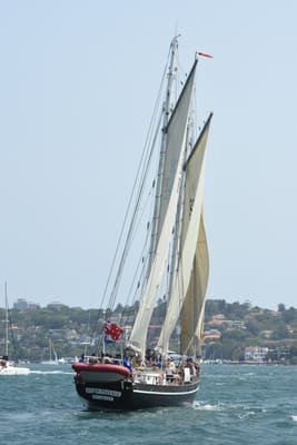 DSC_2533.JPG