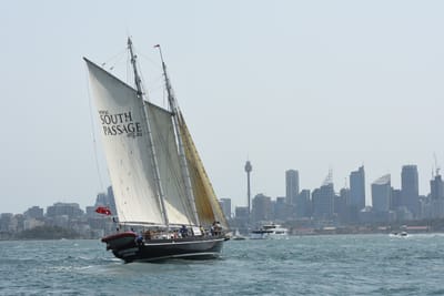 DSC_2534.JPG