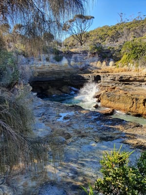 20190919_092206.jpg