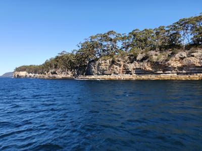 20190919_115343.jpg