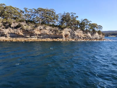 20190919_115352.jpg