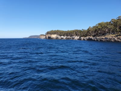 20190919_115425.jpg