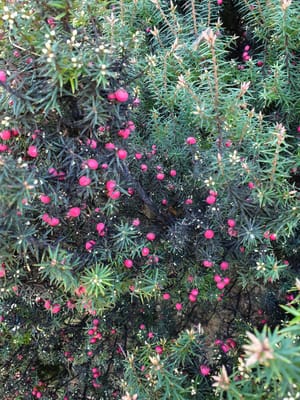 20190919_121327.jpg