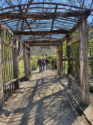 20190919_122051.jpg