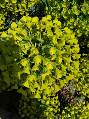 20190919_122145.jpg