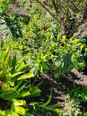 20190919_122306.jpg