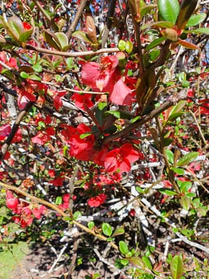 20190919_125348.jpg