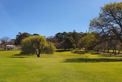 20190920_102456.jpg