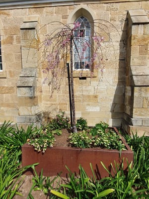 20190920_105711.jpg