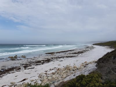 20190920_142239.jpg