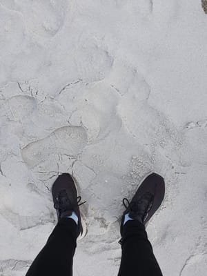 20190920_142700.jpg