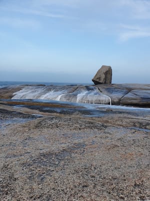 20190920_170225.jpg
