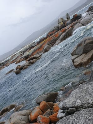 20190921_105034.jpg