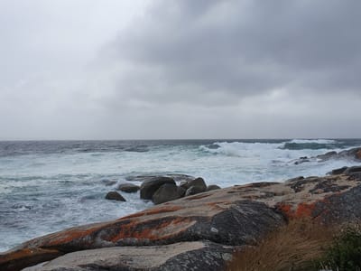 20190921_105159.jpg