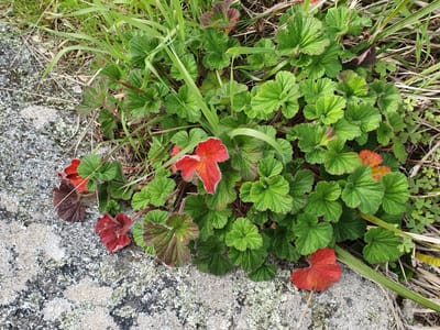 20190921_105410.jpg