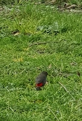 20190921_111731.jpg
