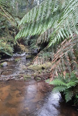 20190921_133004.jpg