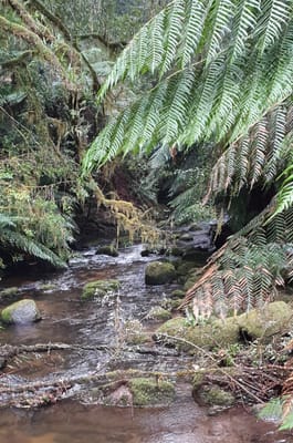 20190921_133048.jpg