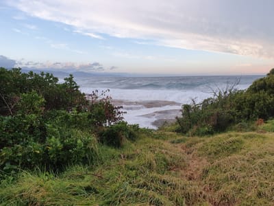 20190921_180055.jpg