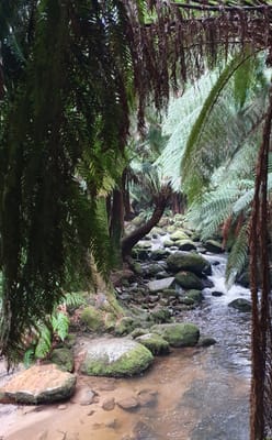 20190921_180155.jpg