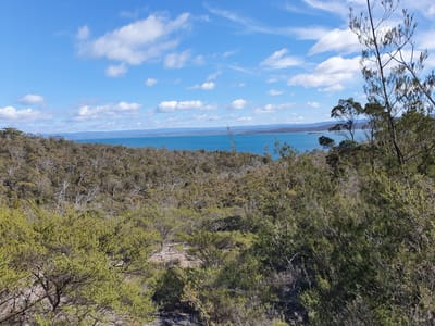 20190922_094659.jpg