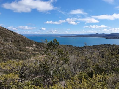 20190922_095338.jpg