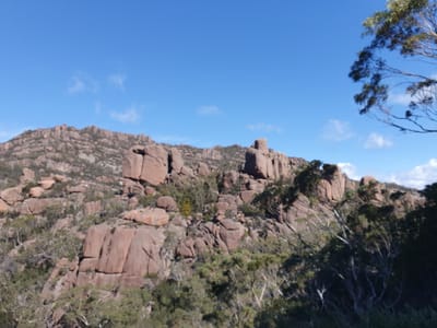 20190922_100858.jpg