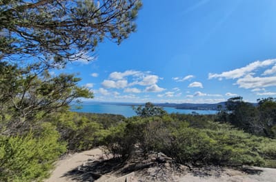 20190922_112111.jpg