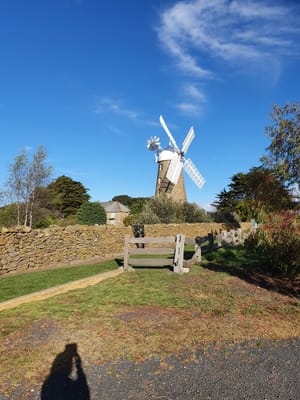20190922_160912.jpg