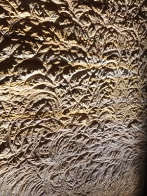 20190923_115202.jpg