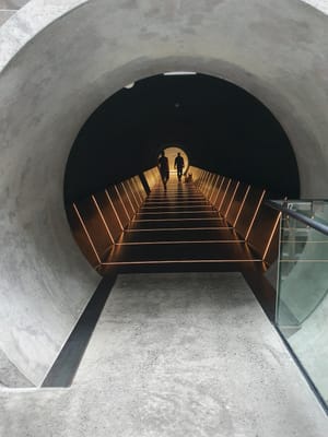 20190923_115926.jpg