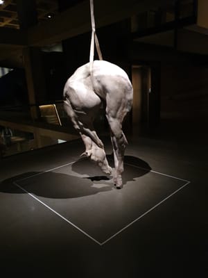 20190923_130123.jpg