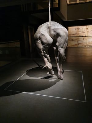 20190923_130131.jpg