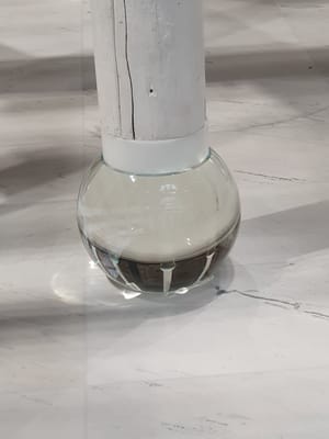 20190923_130851.jpg