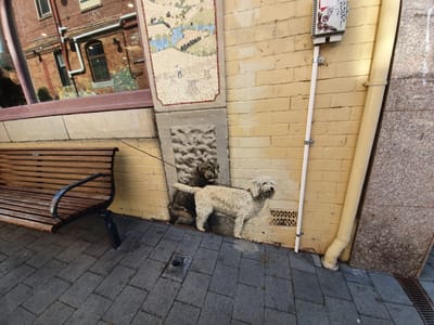 20190923_135024.jpg